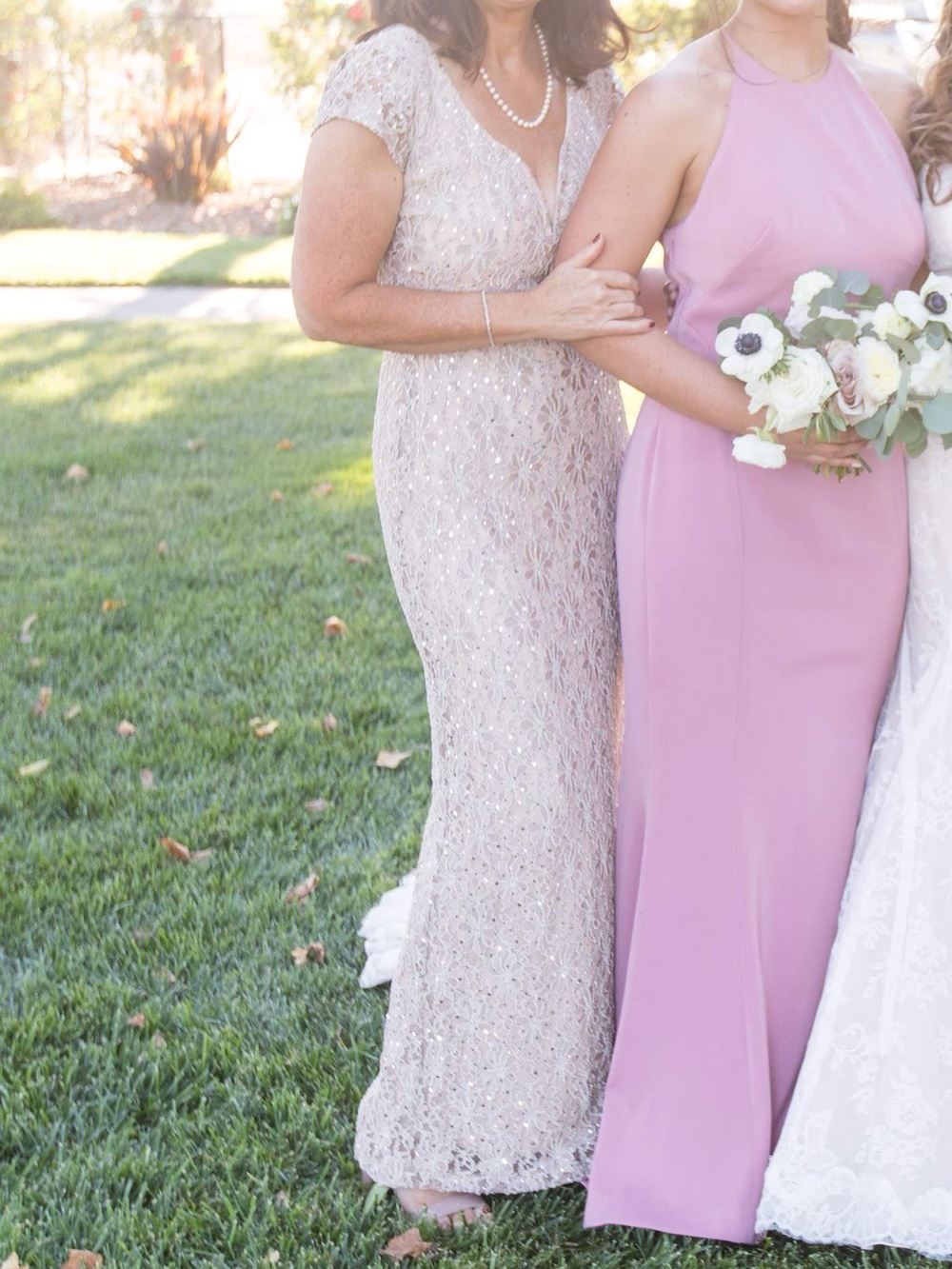 Adrianna Papell Blush Lace Sequin Maxi Dress